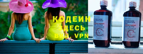 мяу мяу мука Инсар