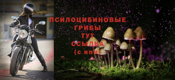 ALPHA-PVP Зеленодольск