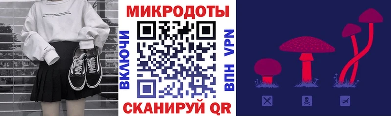 Псилоцибиновые грибы Cubensis Нарткала