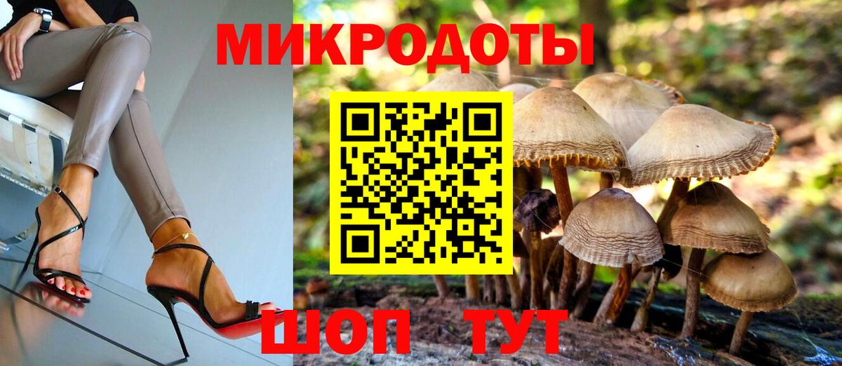Псилоцибиновые грибы Psilocybe  Вход с VPN  Нарткала 